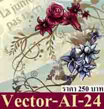  Vector  24